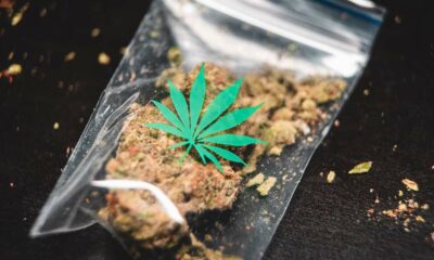 Leitfaden zu Arten von Cannabisprodukten