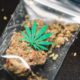 Leitfaden zu Arten von Cannabisprodukten