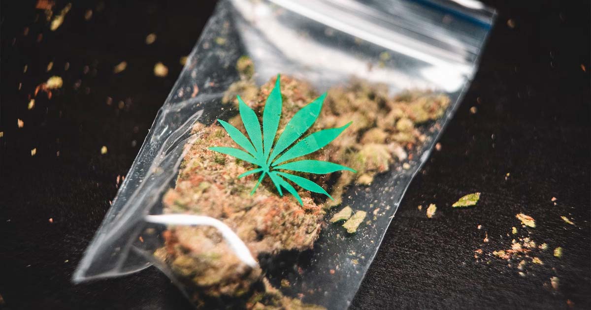 Leitfaden zu Arten von Cannabisprodukten