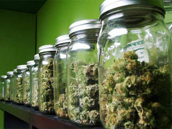 Lagerung von Cannabis