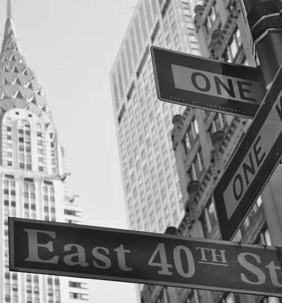 Cannabis-Marken in New York
