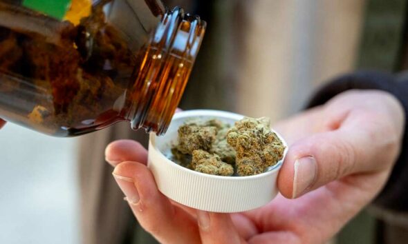 Import von medizinischem Cannabis in Deutschland