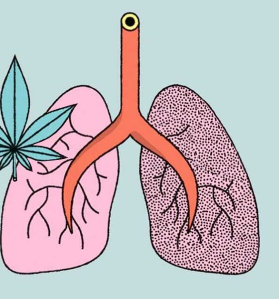 Studie über die Auswirkungen von Cannabis und Tabak auf die Lunge