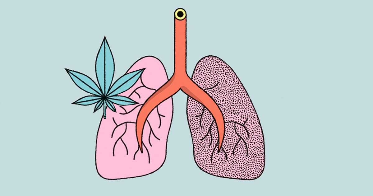 Studie über die Auswirkungen von Cannabis und Tabak auf die Lunge