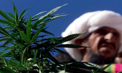 Hanf und medizinisches Cannabis in Pakistan