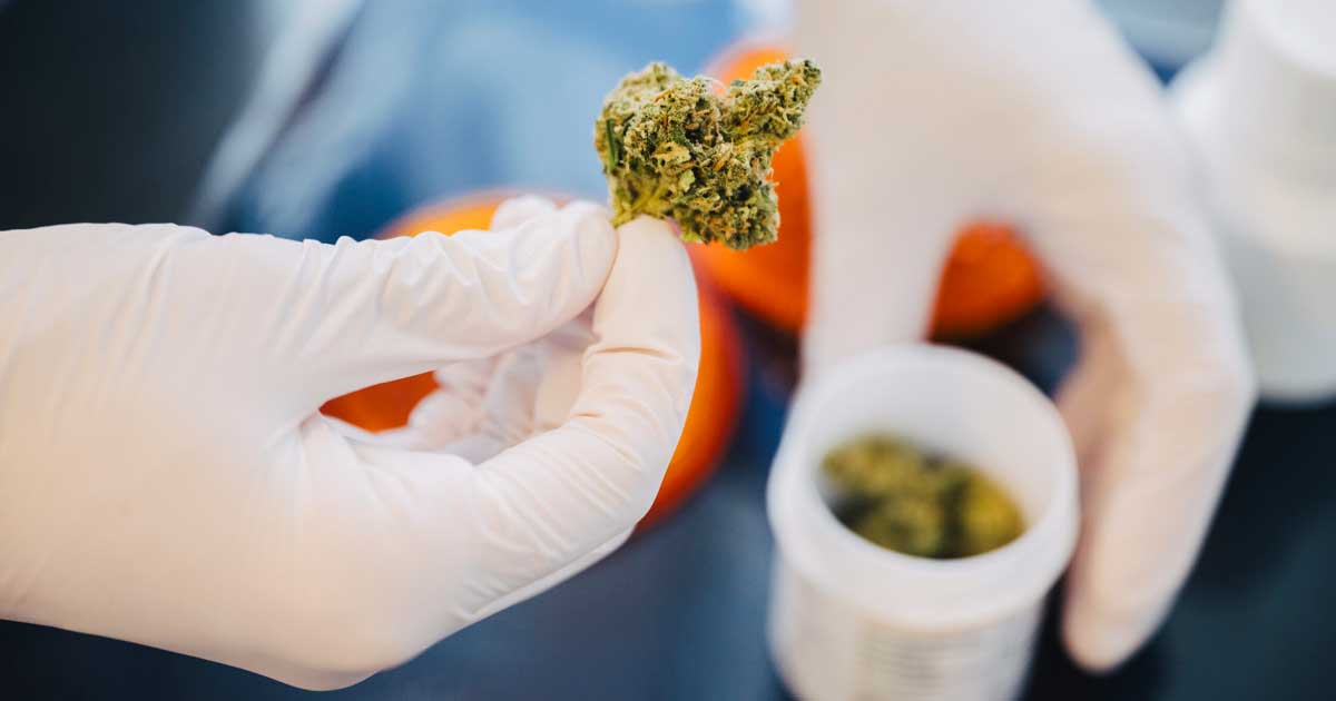 Cannabis in Apotheken in Deutschland