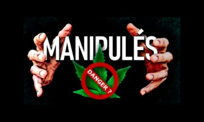 Manipulierte französische Prohibition
