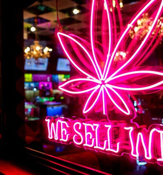 Medizinische Regulierung von Cannabis in Thailand