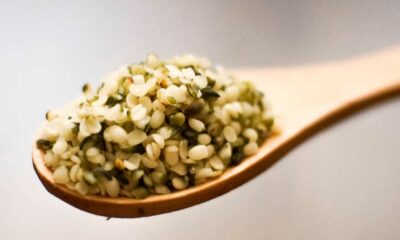 Allergie gegen Hanfsamen
