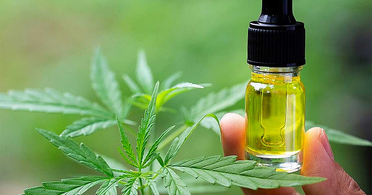 Belgien erstattet CBD für Epilepsie