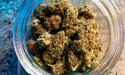 Recht auf Cannabis für deutsche Gefangene
