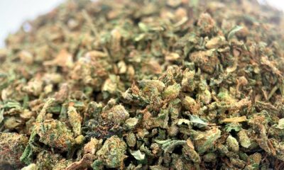 Trimm CBD Cbdoo