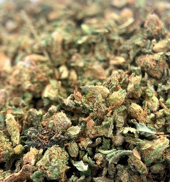 Trimm CBD Cbdoo