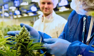 Tilray liefert medizinisches Cannabis nach Italien