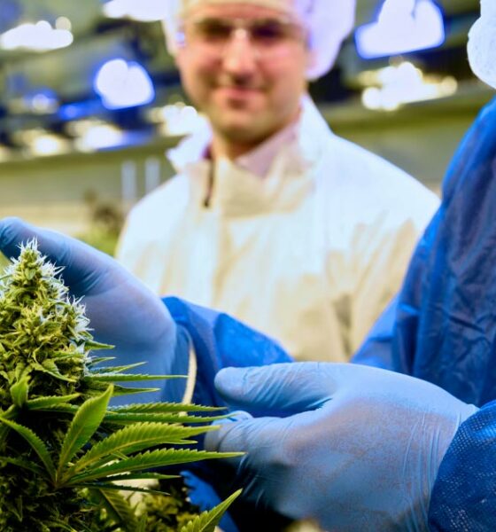 Tilray liefert medizinisches Cannabis nach Italien