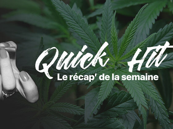 Quick hit cannabis news