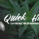 Quick hit cannabis news