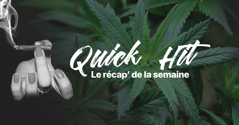 Quick hit cannabis news