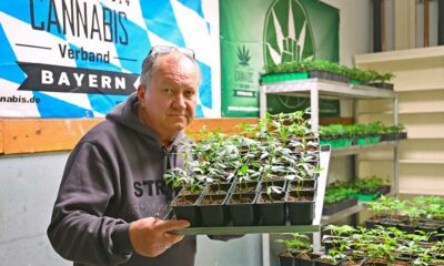 Blockade von Cannabis-Clubs in Bayern