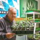 Blockade von Cannabis-Clubs in Bayern