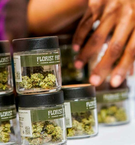 Cannabisverkäufe in New York im Jahr 2025