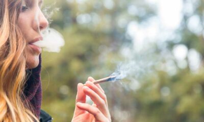 Frauen, Cannabis und Fruchtbarkeit