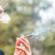 Frauen, Cannabis und Fruchtbarkeit
