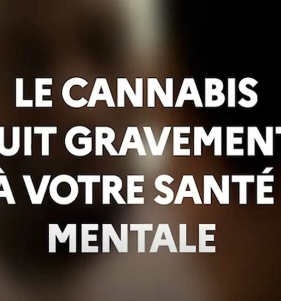 MILDECA-Kampagne zu Cannabis