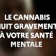 MILDECA-Kampagne zu Cannabis