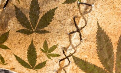 Dieudonné und Cannabis