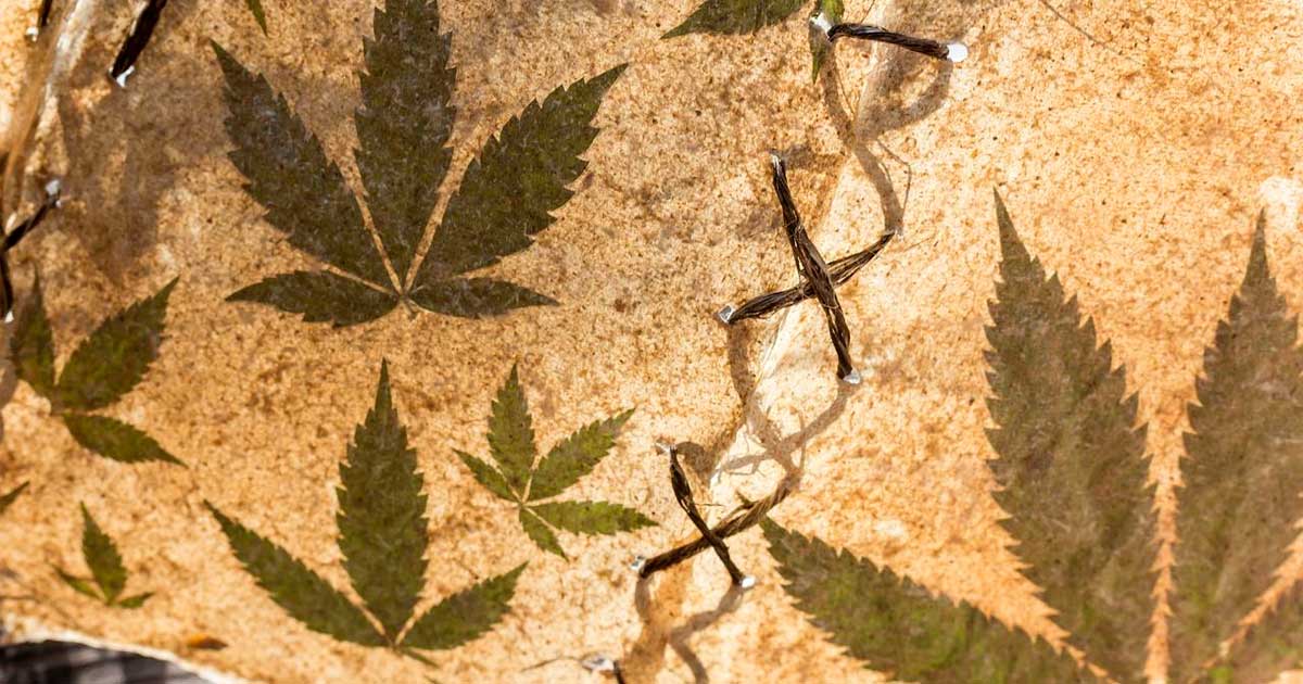 Dieudonné und Cannabis