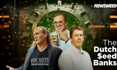 Niederländische Cannabis-Samenbanken
