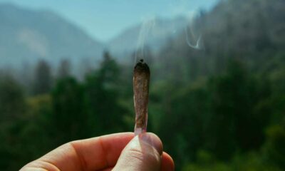 Trail und Cannabis