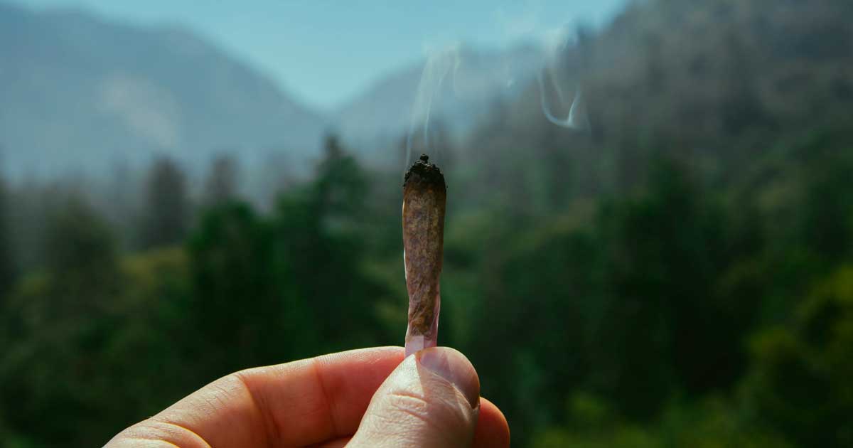 Trail und Cannabis