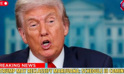 Reklassifizierung von Cannabis in den USA