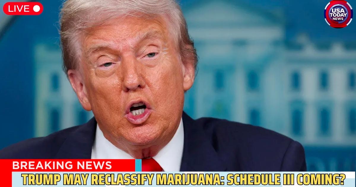 Reklassifizierung von Cannabis in den USA
