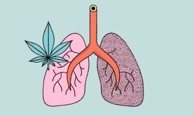 Studie über die Auswirkungen von Cannabis und Tabak auf die Lunge