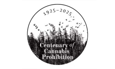 100 Jahre Cannabisprohibition