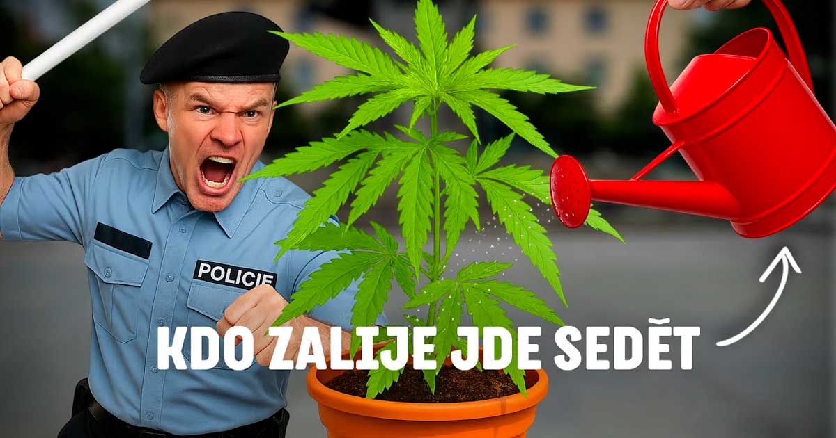 Czexperiment