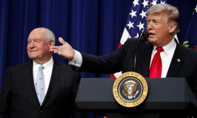 Trump preist CBD für Senioren an