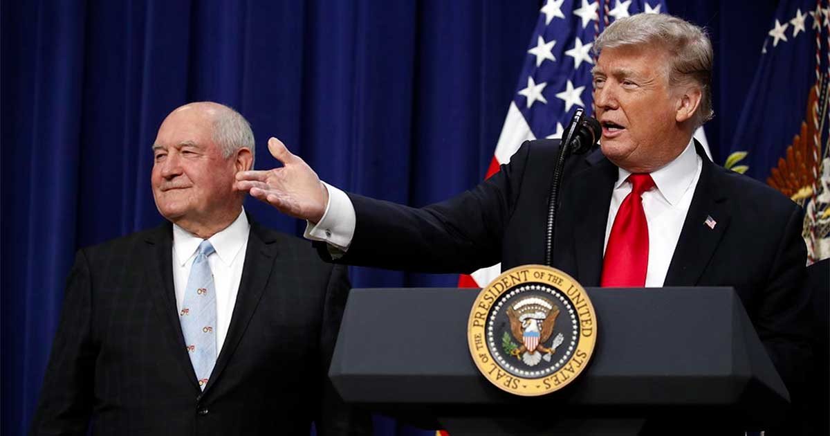 Trump preist CBD für Senioren an