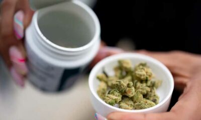 Legaler Verkauf von Cannabis in Deutschland