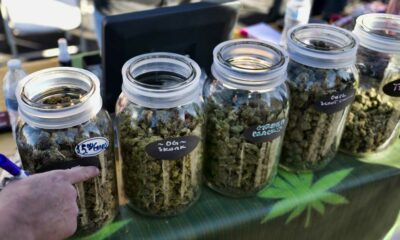 Cannabisverkauf während Festivals in Calgary