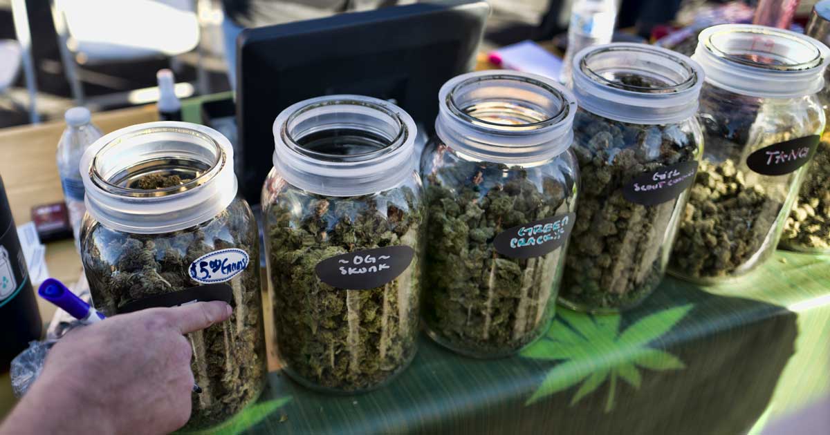 Cannabisverkauf während Festivals in Calgary