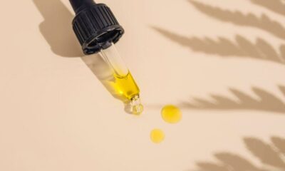 EFSA, Novel Food und CBD