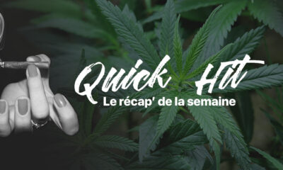 Quick hit cannabis news
