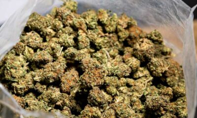 Hanf und CBD in Italien