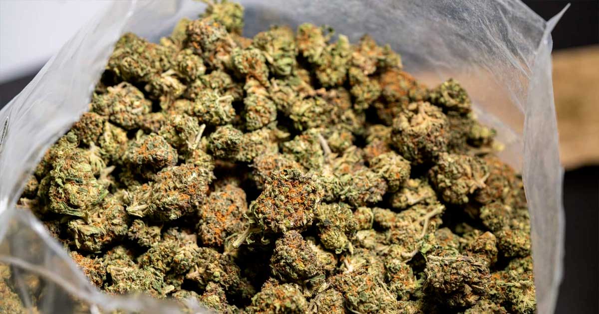 Hanf und CBD in Italien