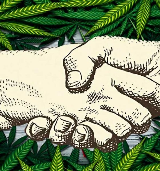 Fusionen und Übernahmen in den USA