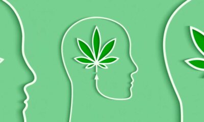 Missbrauch von Cannabis